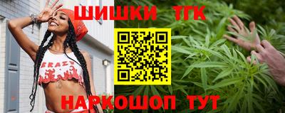 гашик Вышний Волочёк