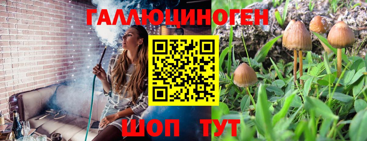 Псилоцибиновые грибы MAGIC MUSHROOMS Дивногорск