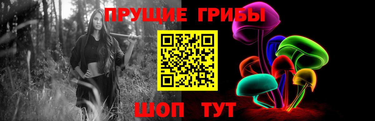Дивногорск  Галлюциногенные грибы Psilocybe  Вход с VPN  Галлюциногенные грибы Magic Shrooms 